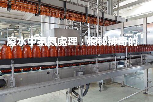 廢水中氨氮處理：揭秘神奇的氨氮轉(zhuǎn)化術(shù)！